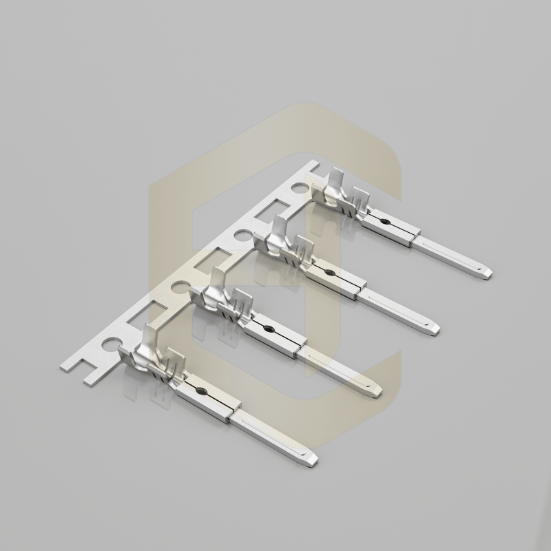 HC-SM-PT