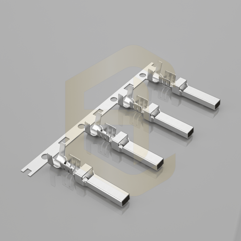 HC-VL-PT